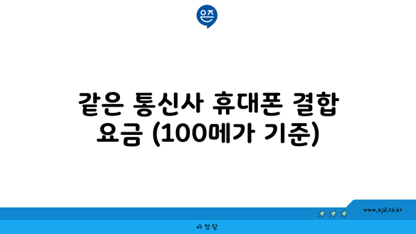 같은 통신사 휴대폰 결합 요금 (100메가 기준)