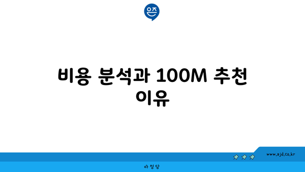 비용 분석과 100M 추천 이유