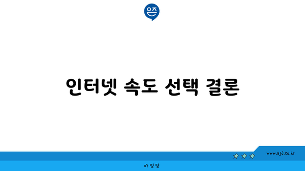 인터넷 속도 선택 결론