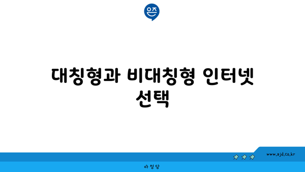 대칭형과 비대칭형 인터넷 선택