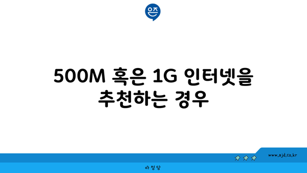 500M 혹은 1G 인터넷을 추천하는 경우