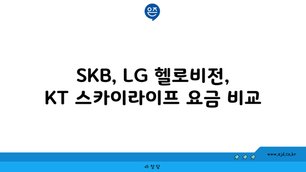 SKB, LG 헬로비전, KT 스카이라이프 요금 비교