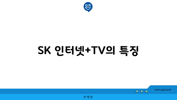 SK 인터넷+TV의 특징