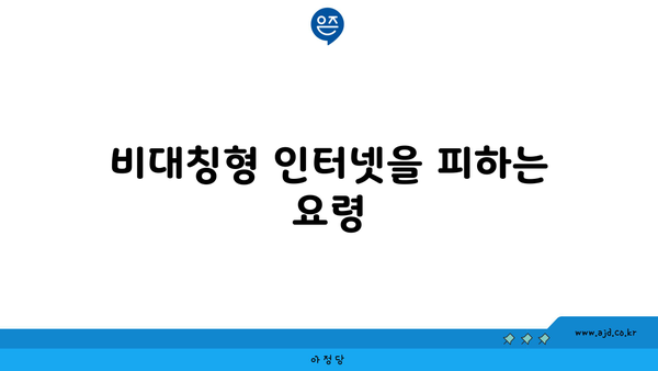 비대칭형 인터넷을 피하는 요령