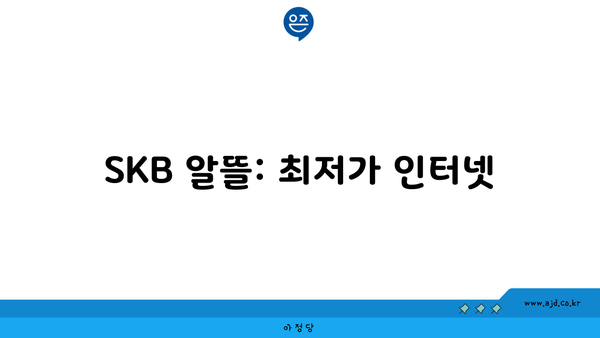 SKB 알뜰: 최저가 인터넷