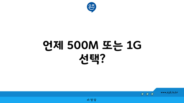 언제 500M 또는 1G 선택?