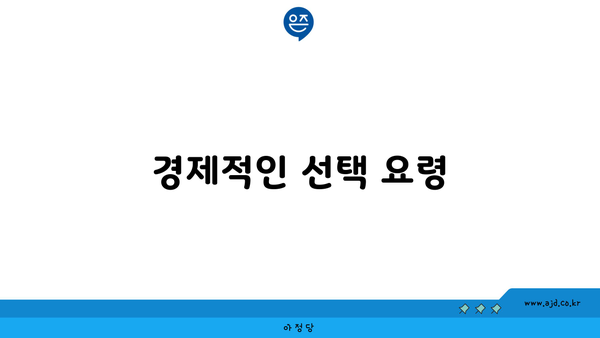 경제적인 선택 요령