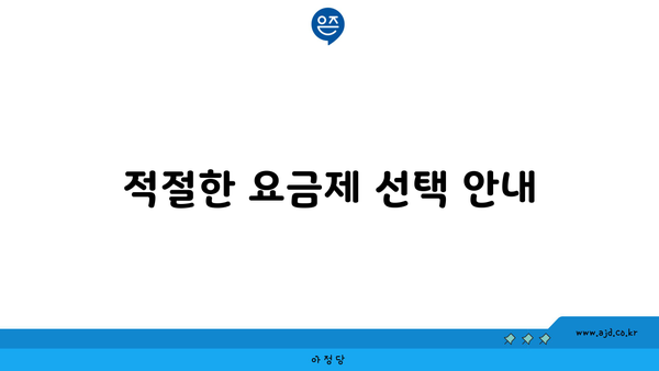 적절한 요금제 선택 안내