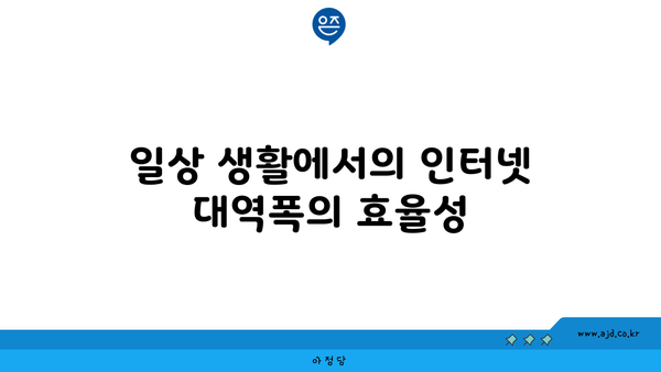 일상 생활에서의 인터넷 대역폭의 효율성