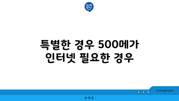 특별한 경우 500메가 인터넷 필요한 경우