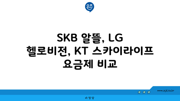 SKB 알뜰, LG 헬로비전, KT 스카이라이프 요금제 비교