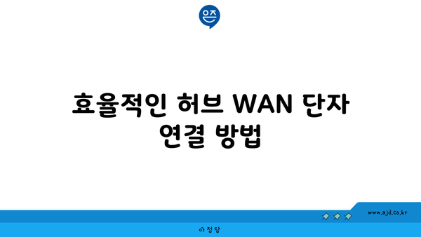 효율적인 허브 WAN 단자 연결 방법