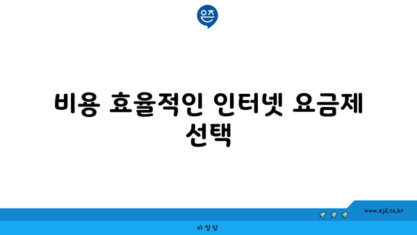 비용 효율적인 인터넷 요금제 선택