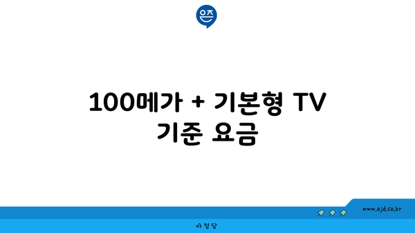 100메가 + 기본형 TV 기준 요금