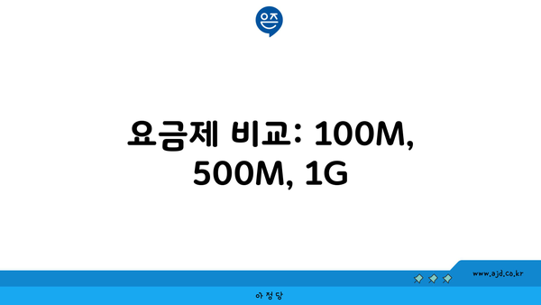 요금제 비교: 100M, 500M, 1G