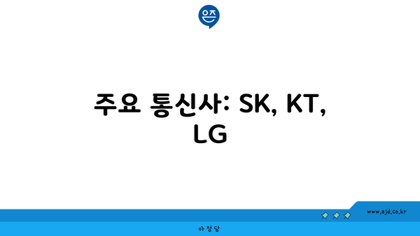 주요 통신사: SK, KT, LG