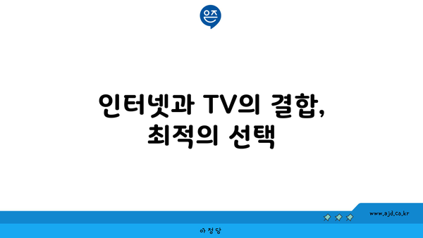 인터넷과 TV의 결합, 최적의 선택