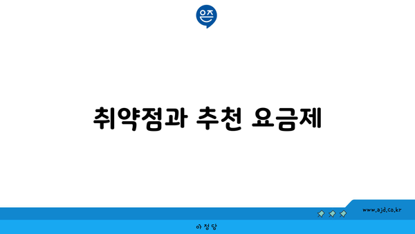 취약점과 추천 요금제