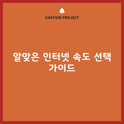 알맞은 인터넷 속도 선택 가이드