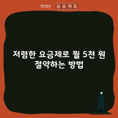 저렴한 요금제로 월 5천 원 절약하는 방법