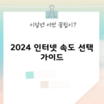 2024 인터넷 속도 선택 가이드