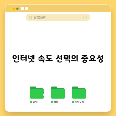 인터넷 속도 선택의 중요성