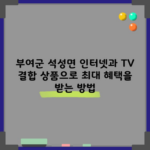 부여군 석성면 인터넷과 TV 결합 상품으로 최대 혜택을 받는 방법