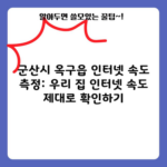 군산시 옥구읍 인터넷 속도 측정: 우리 집 인터넷 속도 제대로 확인하기