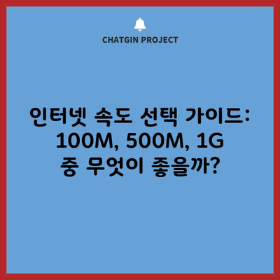 인터넷 속도 선택 가이드: 100M, 500M, 1G 중 무엇이 좋을까?