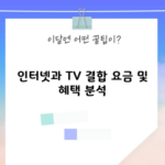 인터넷과 TV 결합 요금 및 혜택 분석