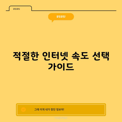 적절한 인터넷 속도 선택 가이드