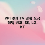 인터넷과 TV 결합 요금 혜택 비교: SK, LG, KT