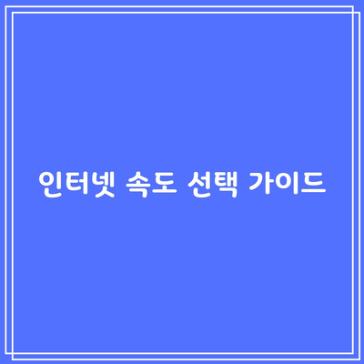 인터넷 속도 선택 가이드