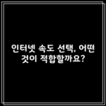 인터넷 속도 선택, 어떤 것이 적합할까요?