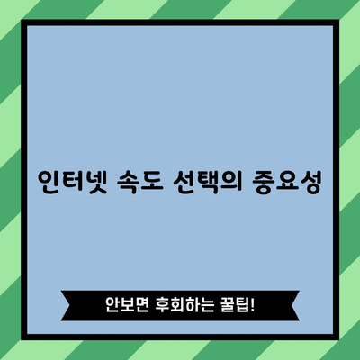 인터넷 속도 선택의 중요성