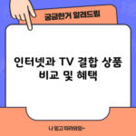 인터넷과 TV 결합 상품 비교 및 혜택