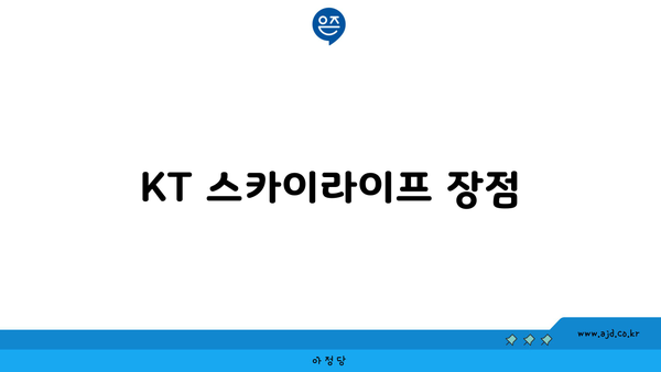 KT 스카이라이프 장점