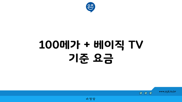 100메가 + 베이직 TV 기준 요금