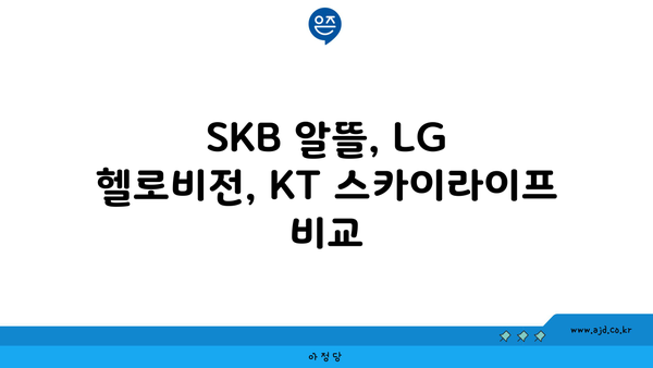 SKB 알뜰, LG 헬로비전, KT 스카이라이프 비교