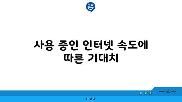 사용 중인 인터넷 속도에 따른 기대치