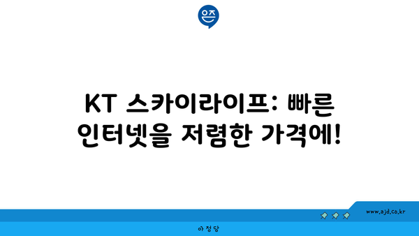 KT 스카이라이프: 빠른 인터넷을 저렴한 가격에!