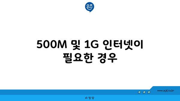 500M 및 1G 인터넷이 필요한 경우