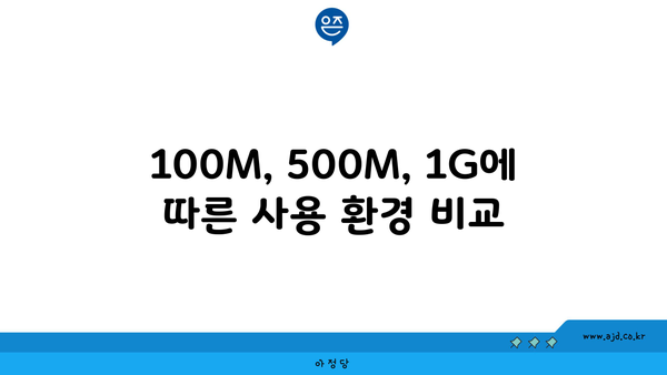 100M, 500M, 1G에 따른 사용 환경 비교