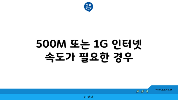 500M 또는 1G 인터넷 속도가 필요한 경우