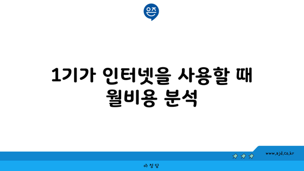 1기가 인터넷을 사용할 때 월비용 분석