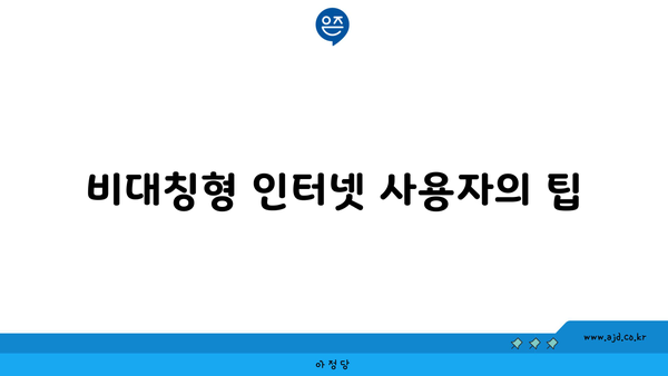 비대칭형 인터넷 사용자의 팁