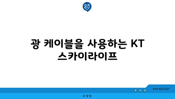 광 케이블을 사용하는 KT 스카이라이프