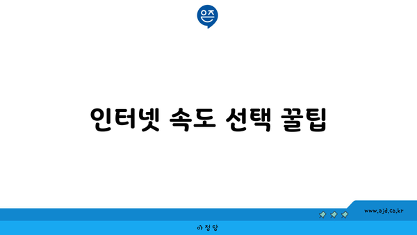 인터넷 속도 선택 꿀팁