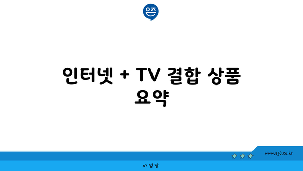 인터넷 + TV 결합 상품 요약