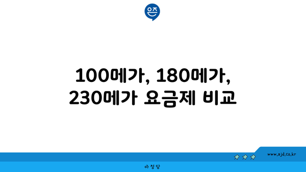 100메가, 180메가, 230메가 요금제 비교